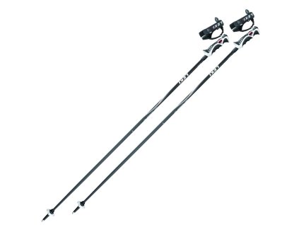 Leki Speed S Anthracite/White 17/18 (Velikost 135)