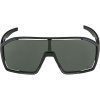 369620 alpina bonfire q black matt