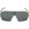 369623 alpina bonfire q cool grey matt