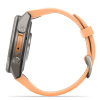 Garmin fenix 9 43 mm AMOLED inReach Titanium Shell/Atmosphere